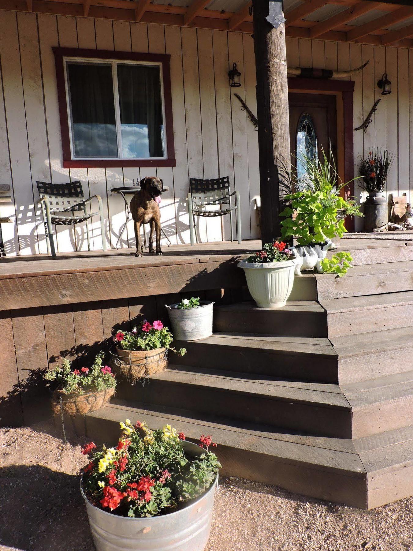 Hotel Grand Canyon Ranch & Outfitters Fredonia Exterior foto